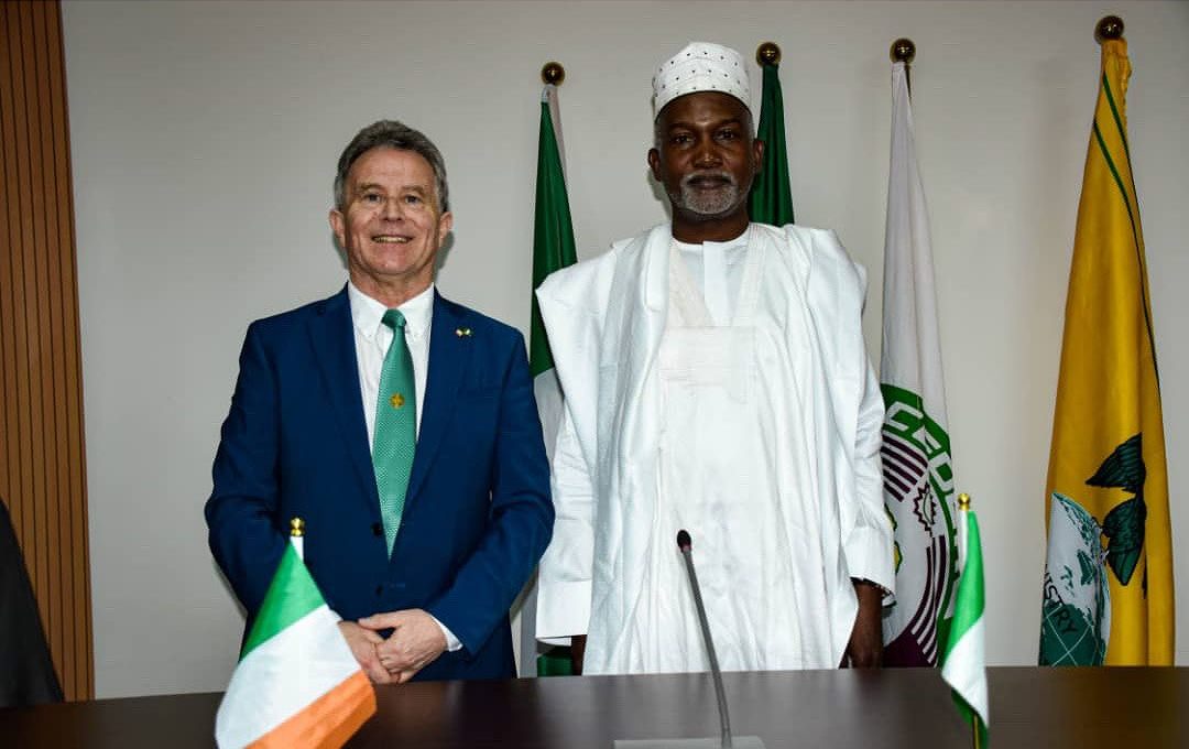 His Excellency Yusuf Maitama Tuggar (OON) received the visit of His Excellency, Mr. Sean Fleming TD