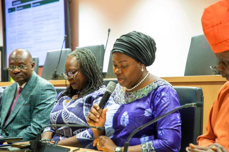Ambassador Janet Olisa led the Ministry’s Team to brief representatives of Civil Society Organ…
