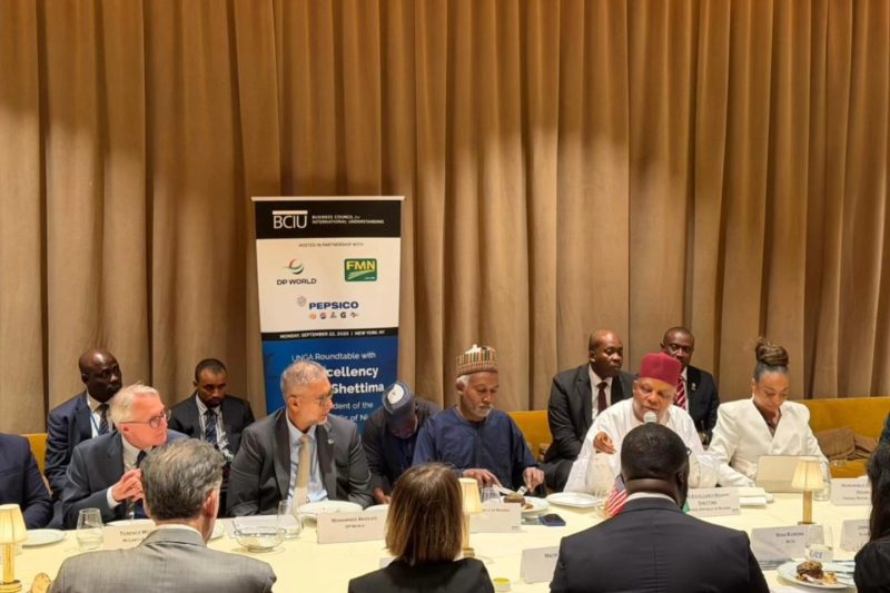 Amb. Yusuf M. Tuggar, VP Kashim Shettima, Dr. Jumoke Oduwole and Top Executives of leading U.S. comp…