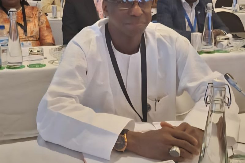 Ambassador Dunoma Umar Ahmed at the 22nd Africa/Nordic Foreign Ministers Meeting in Zimbabwe.