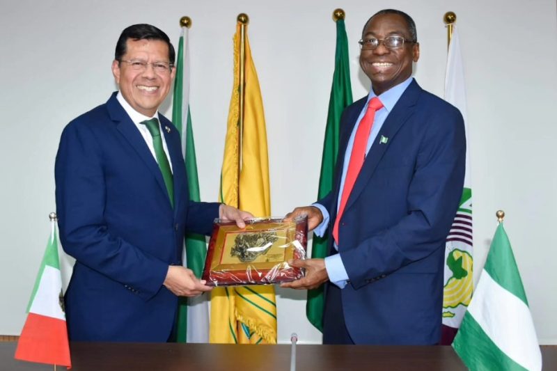 Nigeria and Mexico held First Consultation Mechanism on Matters of Mutual Interest between both Coun…