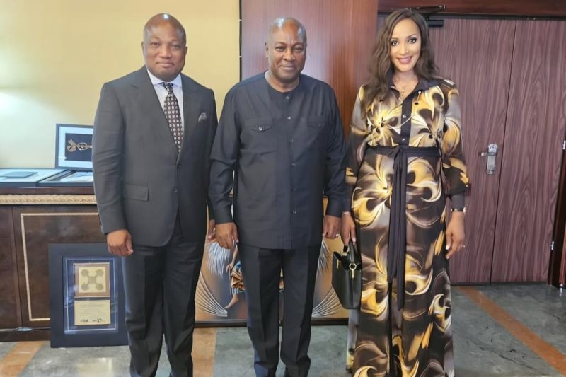 Ambassador Bianca Odumegwu-Ojukwu, was received by the President of Ghana, His Excellency John Drama&hellip;
