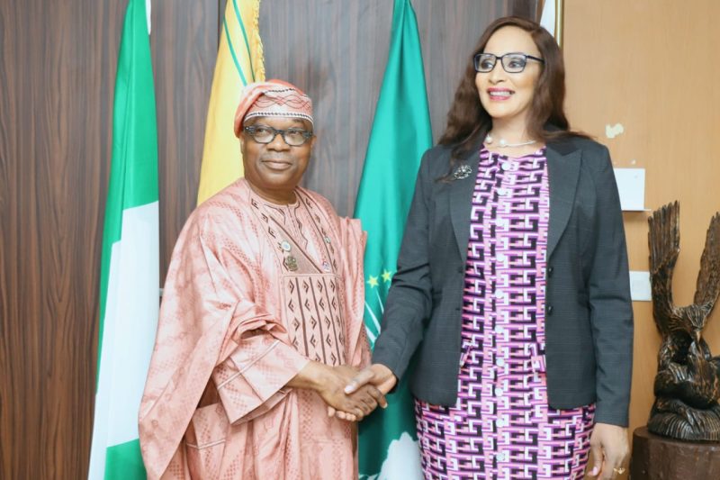 The Honourable Minister of State for Foreign Affairs, Ambassador Sola Enikanolaiye, assumed duty in &hellip;