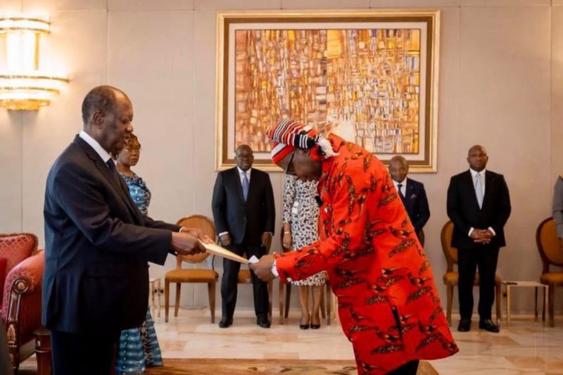 Presentation of Letters of Credence by H.E. Amb. Ezenwa Chukwuemeka Nwaobiala to the President of th&hellip;
