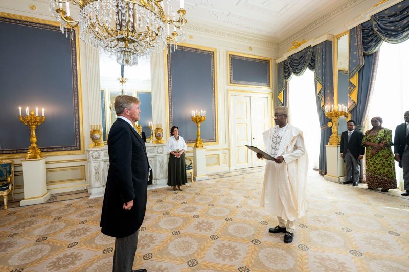 Presentation of Letters of Credence by Ambassador Mohammed Idris Haidara, to His Majesty, King Wille&hellip;
