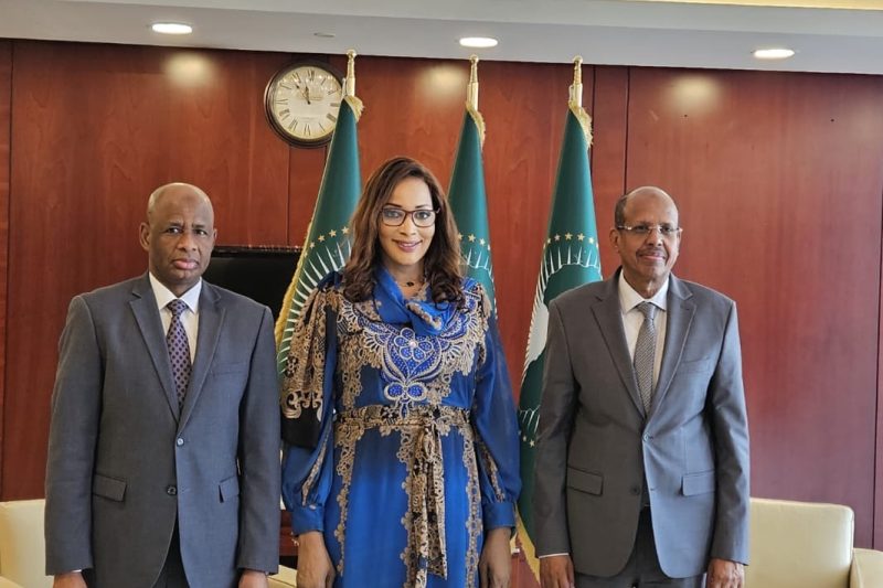 NIGERIA AND AFRICAN UNION COMMISSION DEEPEN PARTNERSHIP ON CONTINENTAL DEVELOPMENT, INSTITUTIONAL RE&hellip;