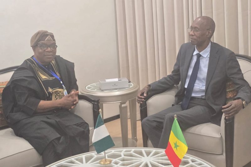MINISTER OF STATE FOR FOREIGN AFFAIRS MEETS FOREIGN MINISTER OF SENEGAL.