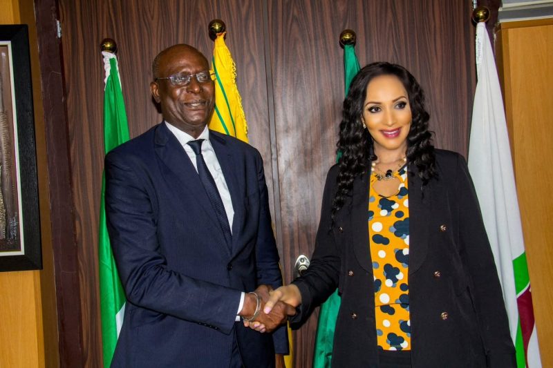 AMB. BIANCA ODUMEGWU-OJUKWU RECEIVED IN AUDIENCE, MR. MOHAMMED MALICK FALL.