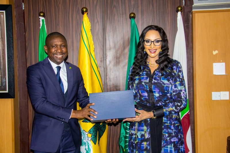 AMB. BIANCA ODUMEGWU-OJUKWU RECEIVED IN AUDIENCE, DR. KALILOU SYLLA.